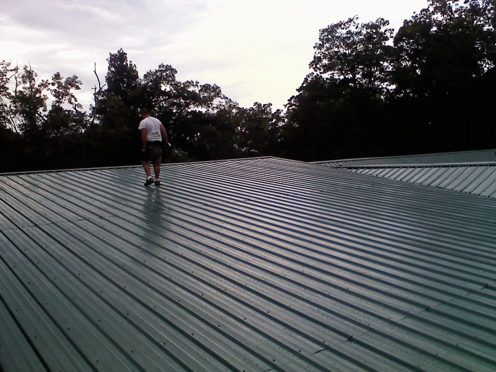 Roofer walking a wide expanse of new green metal roofing in Clarence